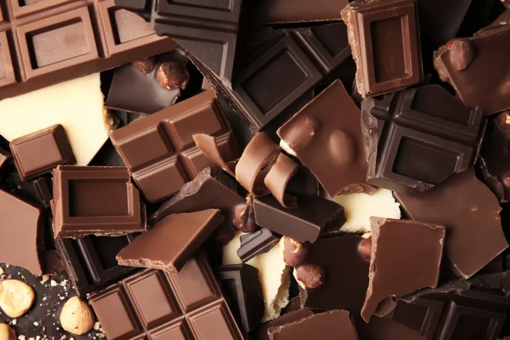 Chocolaterie artisanale à Chagny
